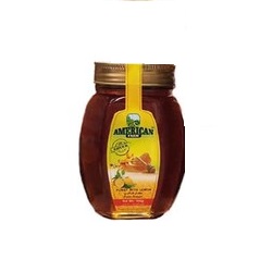 عسل طبیعی امریکن فارم وزن 500 گرم