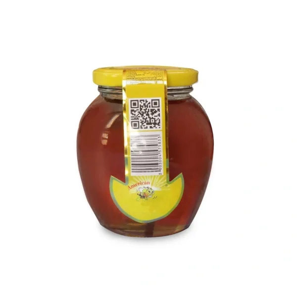 عسل طبیعی امریکن فارم وزن 500 گرم